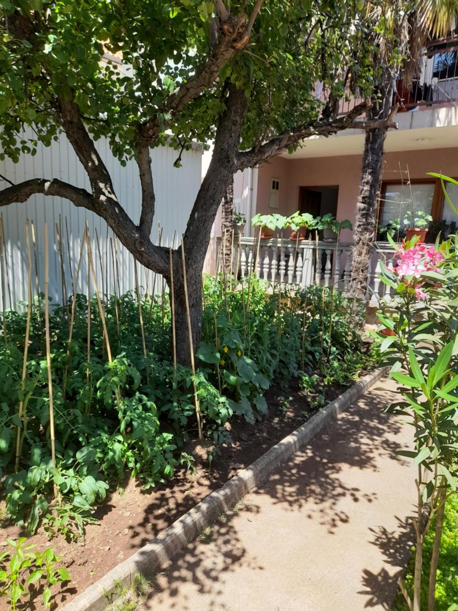 Apartman Avdic Mostar Exteriör bild